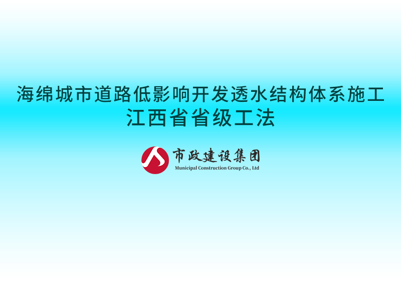 海綿城市道路低影響開發透水結構體系施工江西省省級工法800.jpg